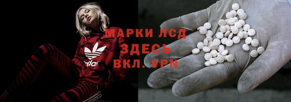 гашик Чегем