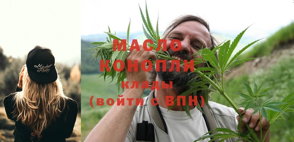 гашик Чегем