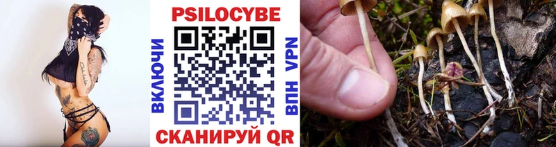 Купить где  Перевоз  Псилоцибиновые грибы Magic Shrooms 
